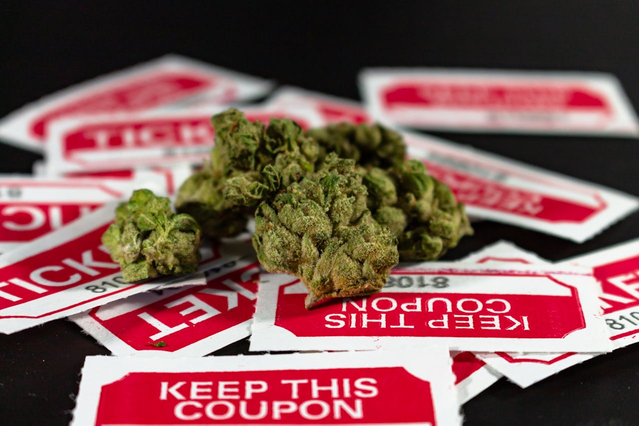 Close-up of cannabis buds with red and white ticket stubs in the background on a dark surface.